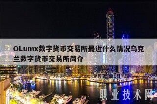 OLumx数字货币交易所最近什么情况乌克兰数字货币交易所简介