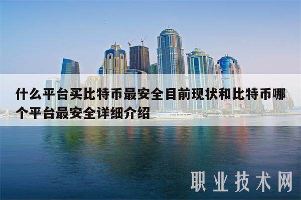 什么平台买比特币最安全目前现状和比特币哪个平台最安全详细介绍-第1张图片-欧意下载