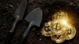 eos还有希望吗(eos以后真会升值吗)