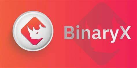 什么是BinaryX币-第1张图片-binance下载