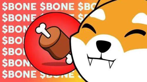 什么是Bone ShibaSwap(BONE)币-第1张图片-binance下载