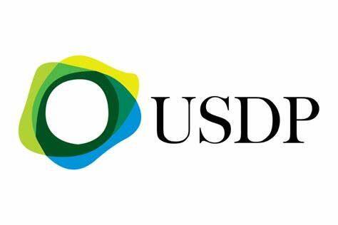 Pax Dollar(USDP)币种介绍-第1张图片-binance下载