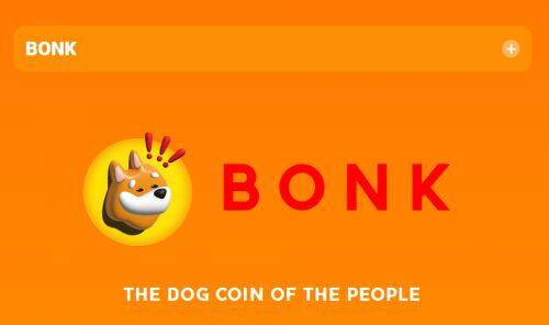 Bonk币是什么币种-第1张图片-binance下载