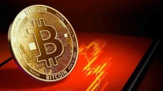 未来CCOIN币的发展前景如何？